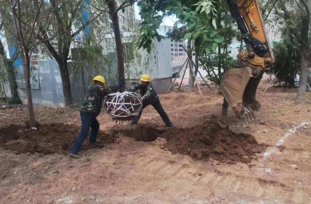 五一勞動(dòng)節(jié): 市住建局園林綠化服務(wù)中心忙建設(shè)、忙養(yǎng)護(hù),營(yíng)造干凈美麗環(huán)境