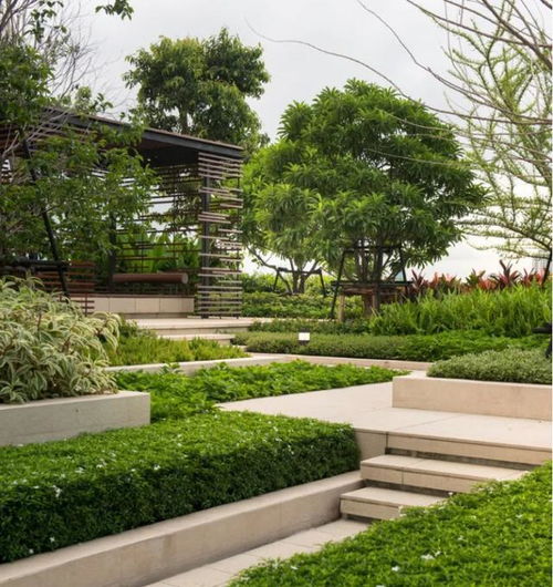 干貨 園林景觀(guān)綠化施工設(shè)計(jì)的基本原則