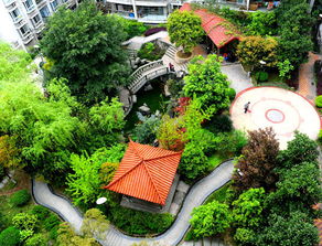 園林植樹(shù)綠化流程