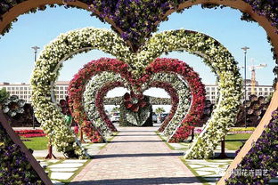 公園 廣場(chǎng) 高架橋立體綠化更趨常態(tài)化和智能化 專(zhuān)題