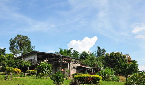 園林綠化工程,草坪綠化草種植方法和步驟